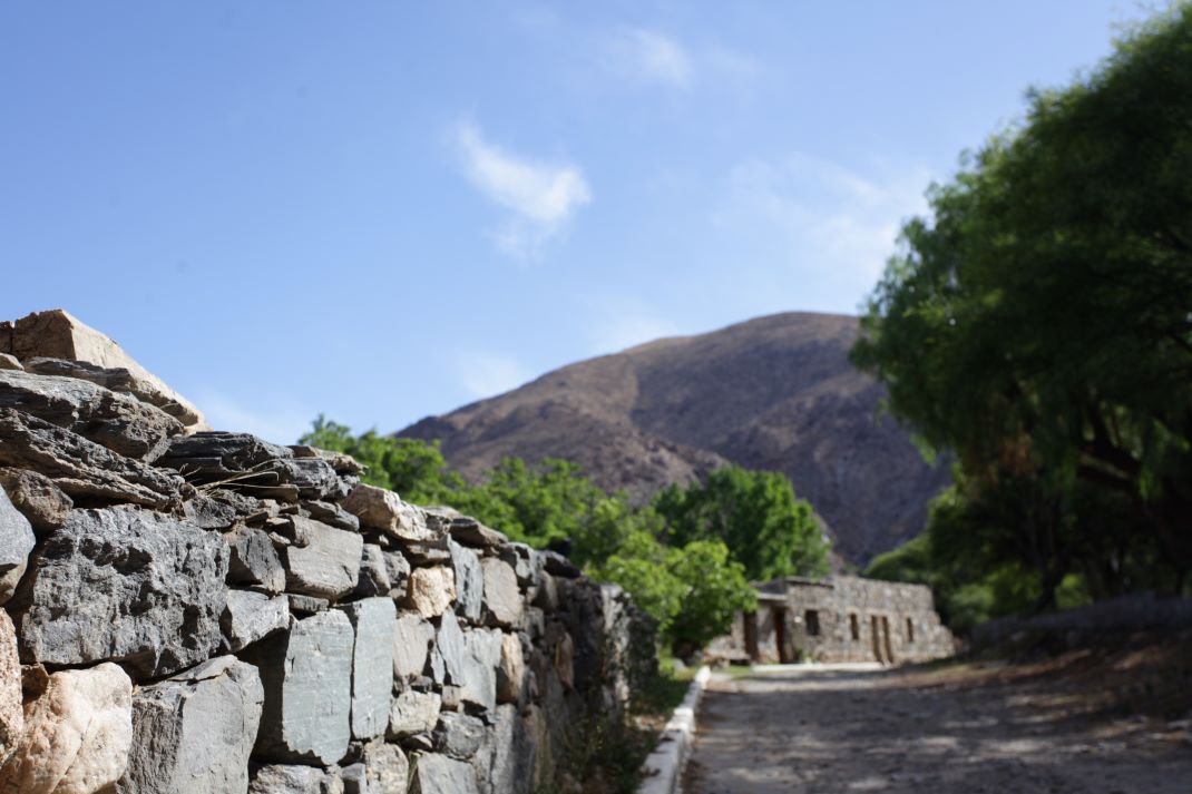 Imagen de galería 1